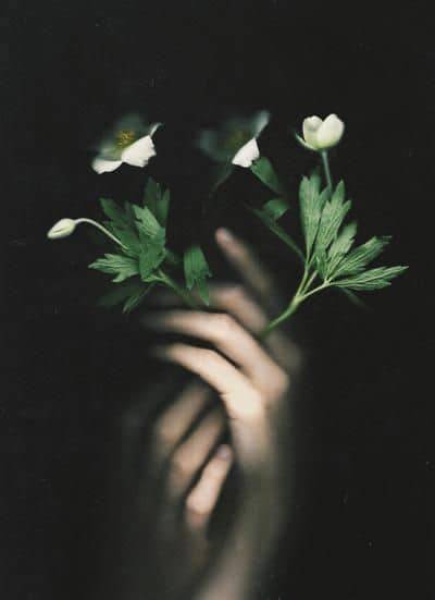 Natalia Drepina