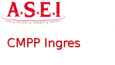 Le Centre Médico-Psycho-Pédagogique Montauban 